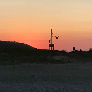 Meet your Posher, Flavio